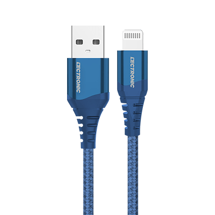Lectronic Products