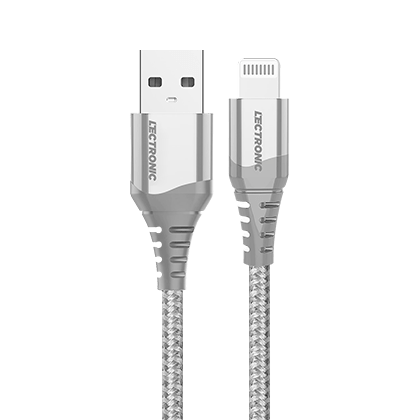 Lectronic Products